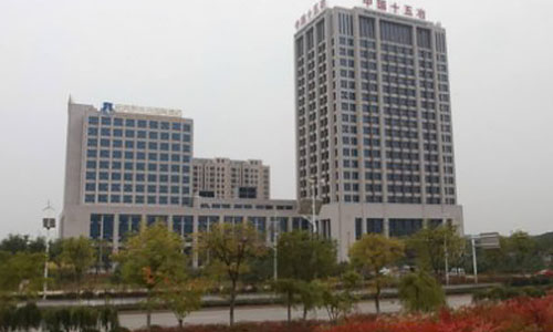 武漢市十五冶金通物質(zhì)設(shè)備有限公司(出口于肯尼亞、坦桑尼亞、剛果)